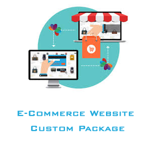 ecommerce transactional website development with payment gateway
